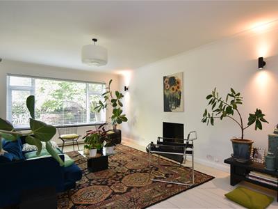 Picture 7